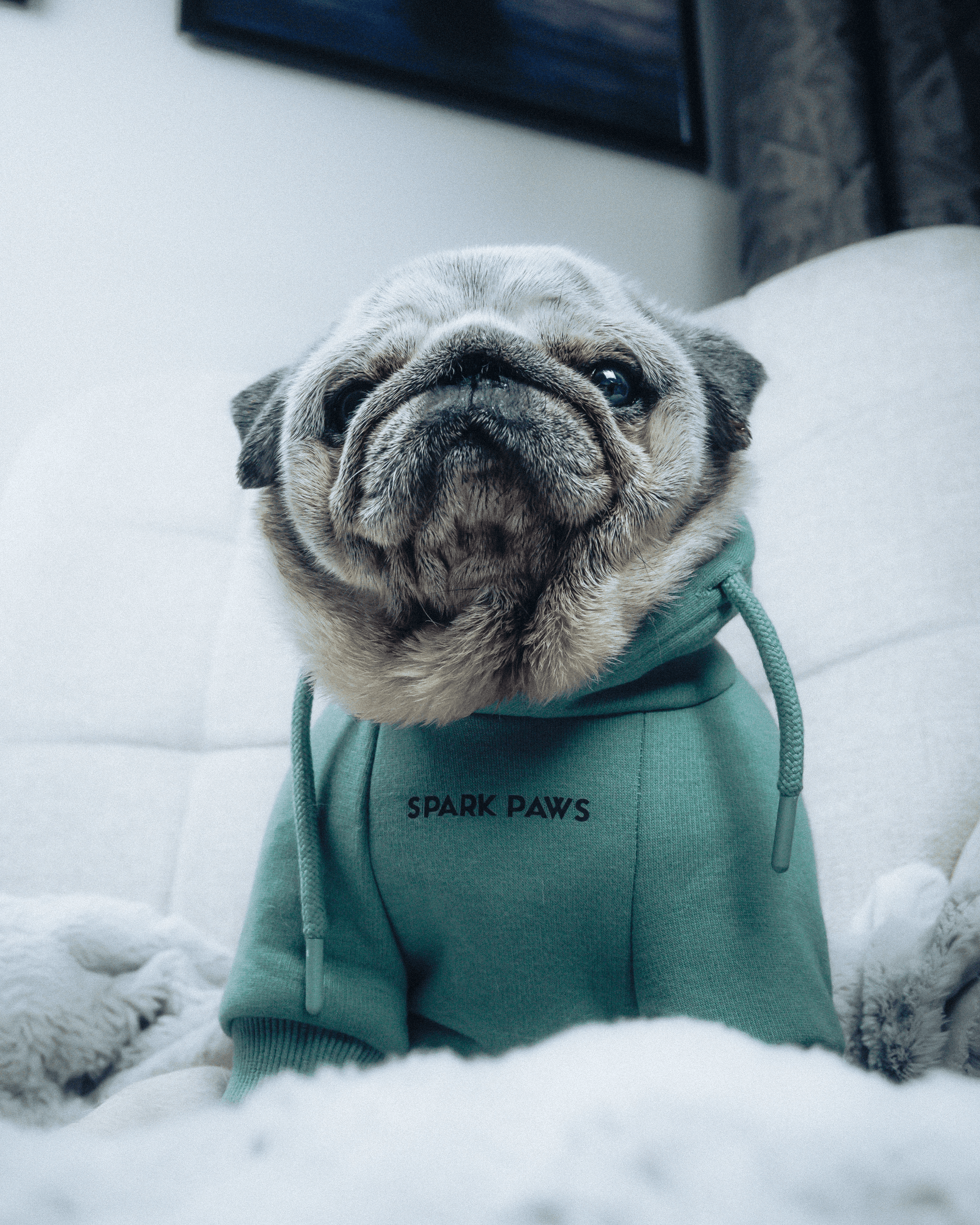 Stylish Pug Life